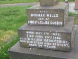 image of grave number 833709